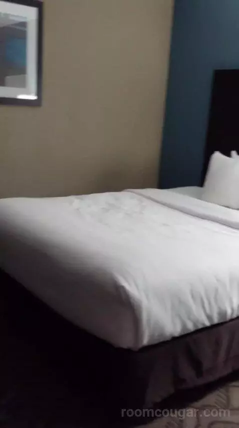 2 Queen Bed Suite with Sofa Bed (#25) bed picture #9