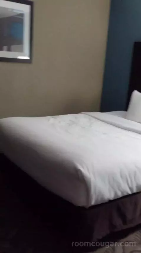 2 Queen Bed Suite with Sofa Bed (#25) bed picture #10