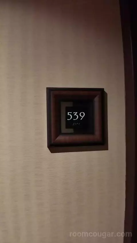 Standard King Room (#539) picture #1