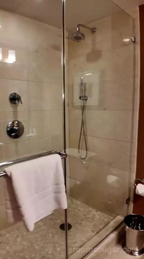 Standard King Room (#539) bathroom picture #6