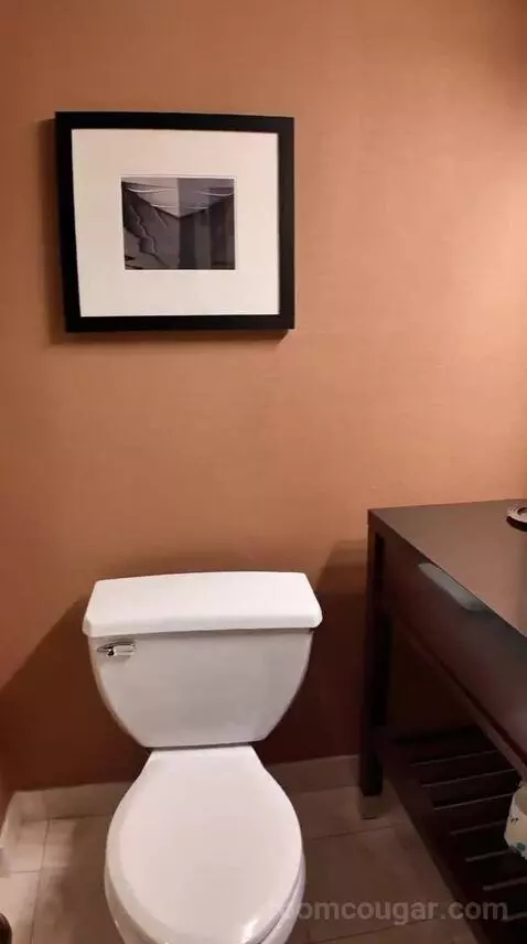 Standard King Room (#539) bathroom picture #7