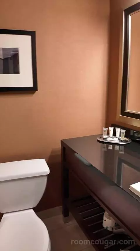 Standard King Room (#539) bathroom picture #11