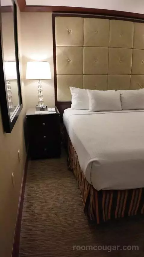Standard King Room (#539) picture #16