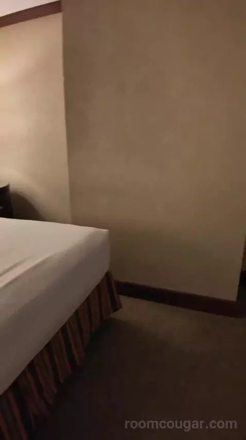 Standard King Room (#539) bed picture #12
