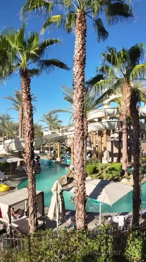 Two King Room with Pool View (#2273) view picture #5