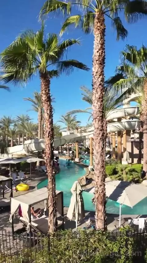 Two King Room with Pool View (#2273) view picture #7