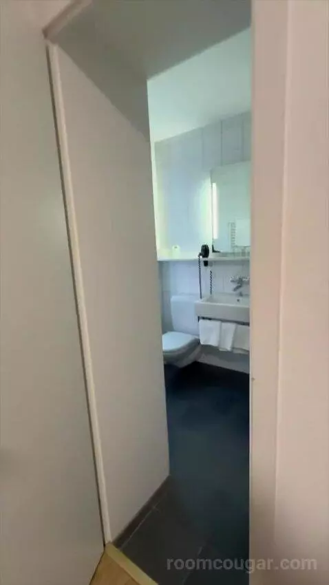 Triple Room (#102) bathroom picture #1