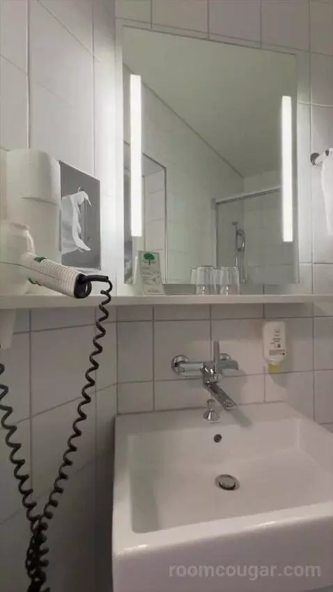 Small Budget Double Room (#312) bathroom picture #5