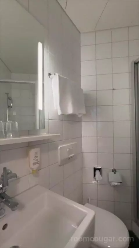 Small Budget Double Room (#312) bathroom picture #8