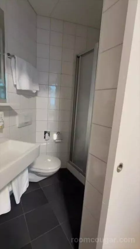 Small Budget Double Room (#312) bathroom picture #2