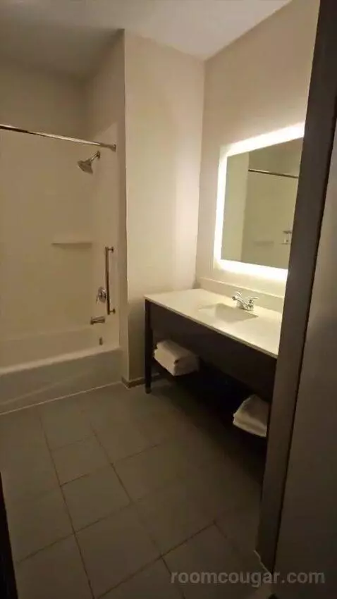 Suite with Two Beds (#320) bathroom picture #1