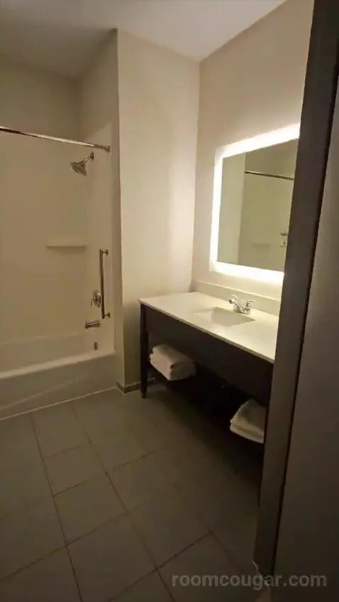 Suite with Two Beds (#320) bathroom picture #2