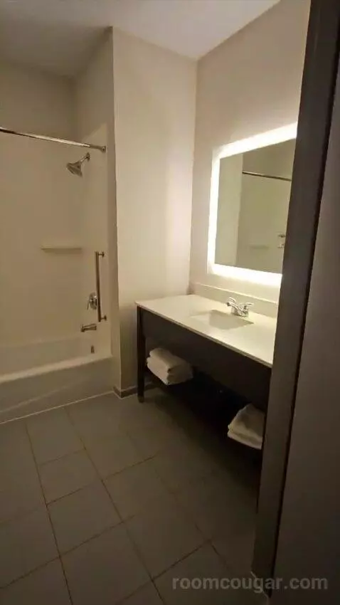 Suite with Two Beds (#320) bathroom picture #3