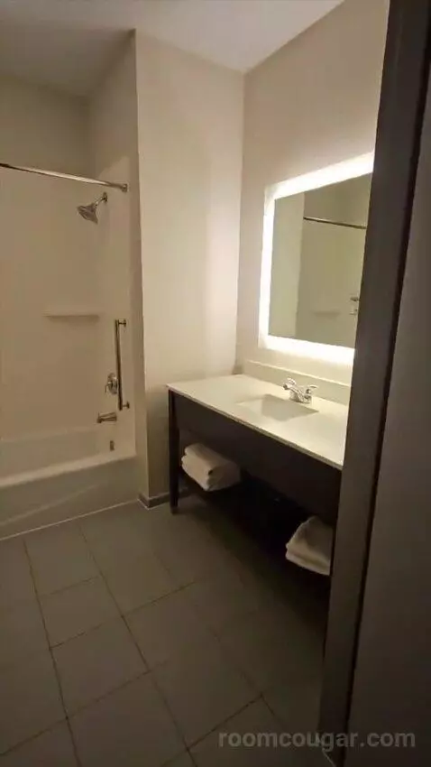 Suite with Two Beds (#320) bathroom picture #4