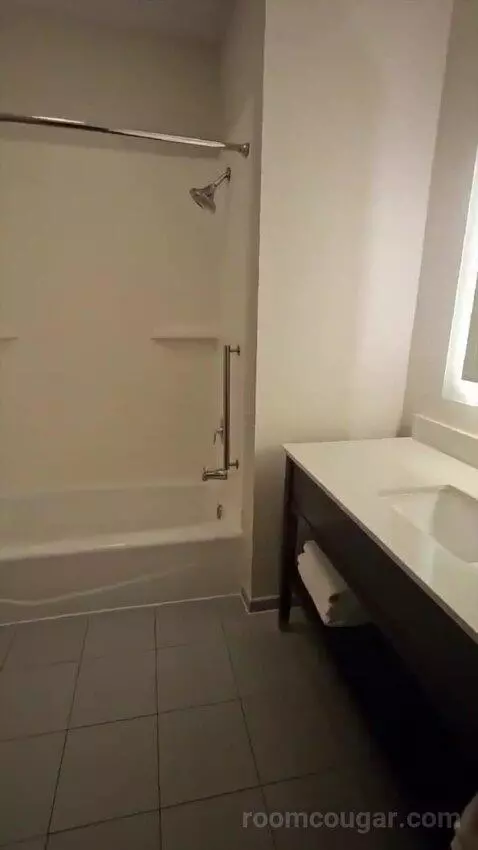 Suite with Two Beds (#320) bathroom picture #5
