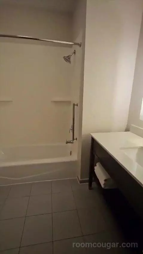 Suite with Two Beds (#320) bathroom picture #6