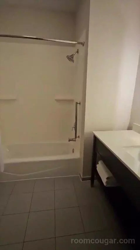 Suite with Two Beds (#320) bathroom picture #7