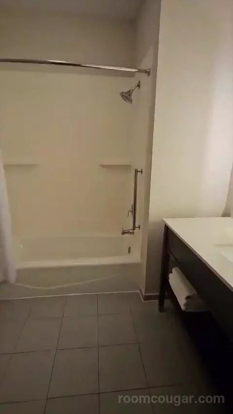 Suite with Two Beds (#320) bathroom picture #8