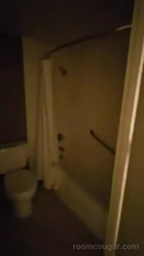 Junior Suite, 1 King (#428) bathroom picture #3