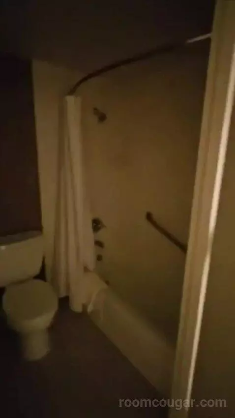 Junior Suite, 1 King (#428) bathroom picture #4