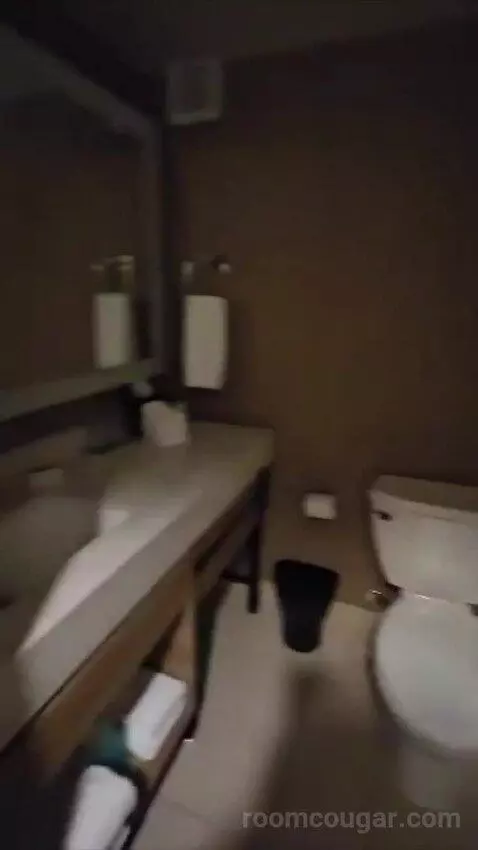 Junior Suite, 1 King (#428) bathroom picture #7