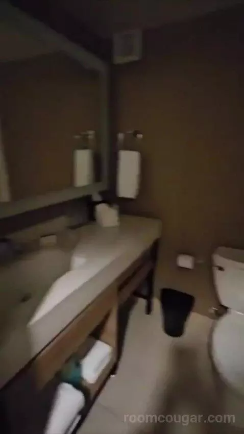 Junior Suite, 1 King (#428) bathroom picture #8