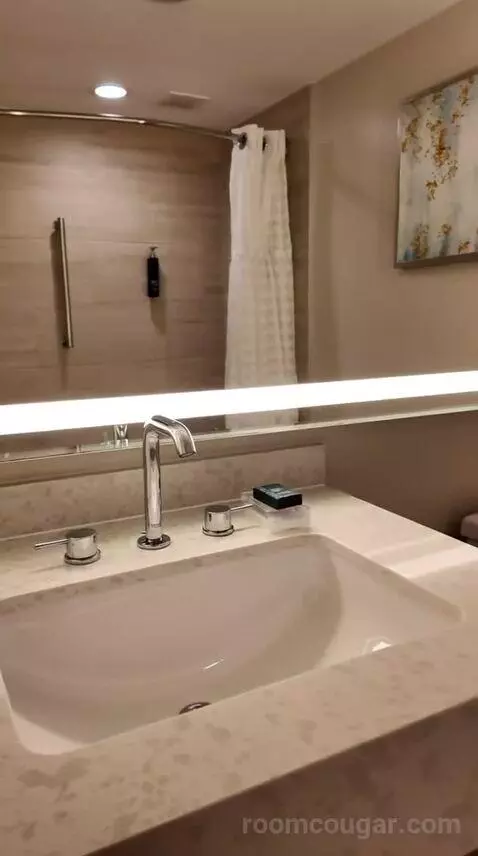 Queen Room with Two Queen Beds and Garden View - Hearing Accessible (#417) bathroom picture #8