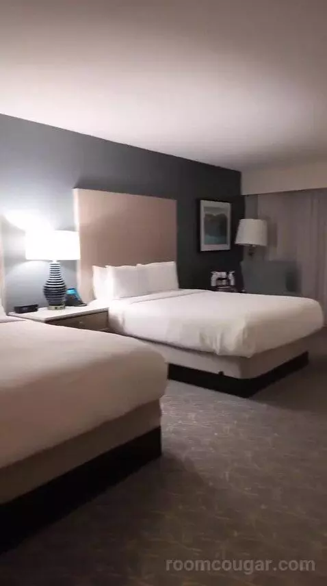Queen Room with Two Queen Beds and Garden View - Hearing Accessible (#417) bed picture #1
