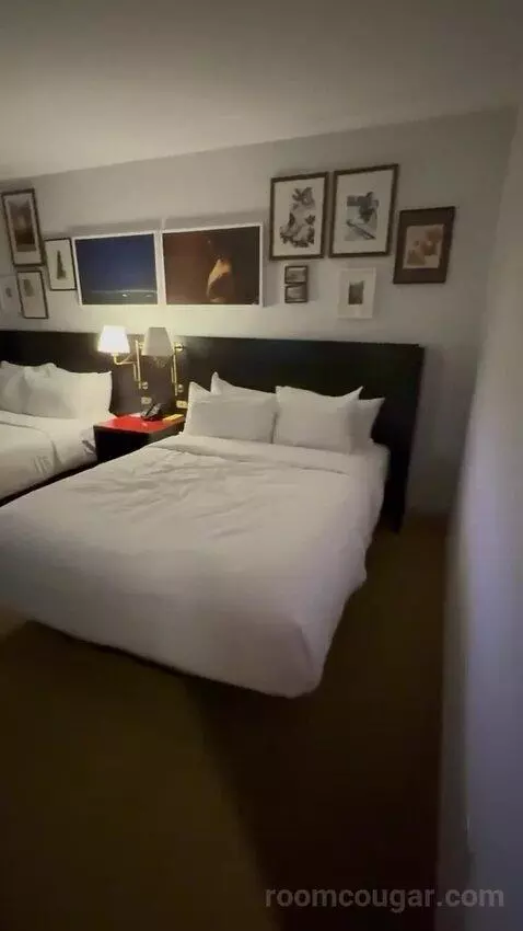 Park Mgm Two Queen (#7322) bed picture #1