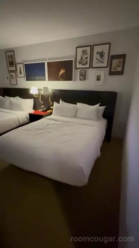 Park Mgm Two Queen (#7322) bed picture #2
