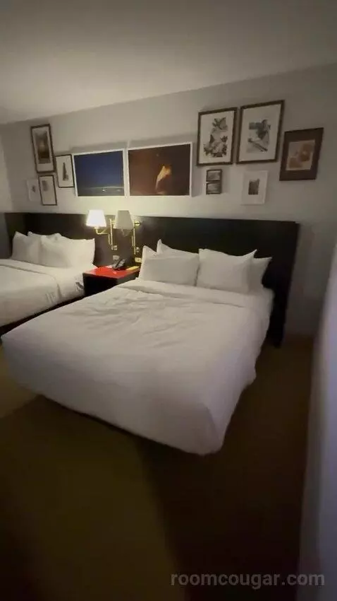 Park Mgm Two Queen (#7322) bed picture #3
