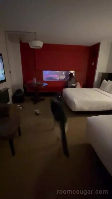 Park Mgm Two Queen (#7322) bed picture #4