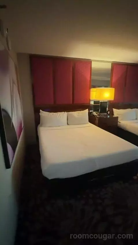 Stay Well Grand Two Queen Accessible with Roll-In Shower (#16202) bed picture #4