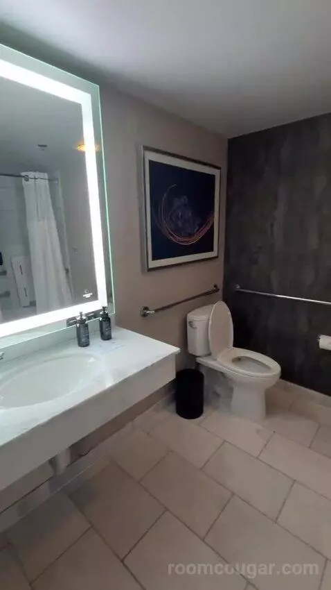 Stay Well Grand Two Queen Accessible with Roll-In Shower (#16202) bathroom picture #4