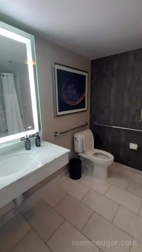 Stay Well Grand Two Queen Accessible with Roll-In Shower (#16202) bathroom picture #5