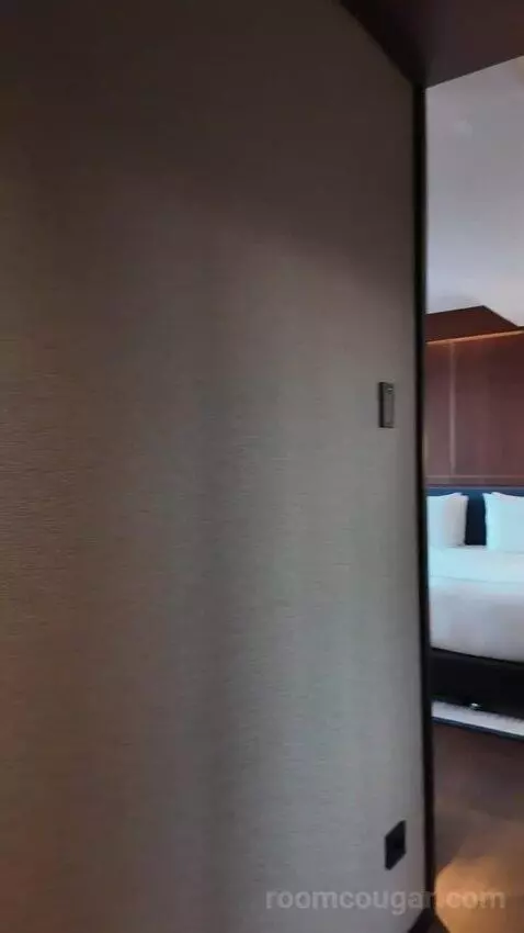 Junior Suite with Terrace (#715) picture #4