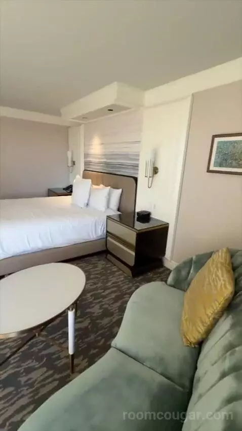 Premier King (#9098) bed picture #10