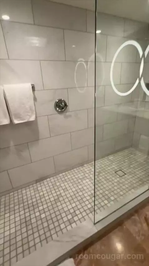 Premier King (#9098) bathroom picture #3