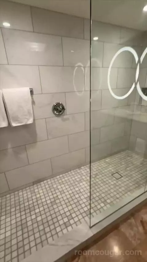 Premier King (#9098) bathroom picture #4