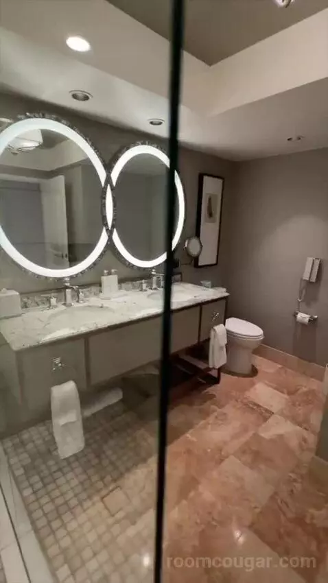 Premier King (#9098) bathroom picture #7