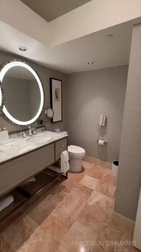Premier King (#9098) bathroom picture #10