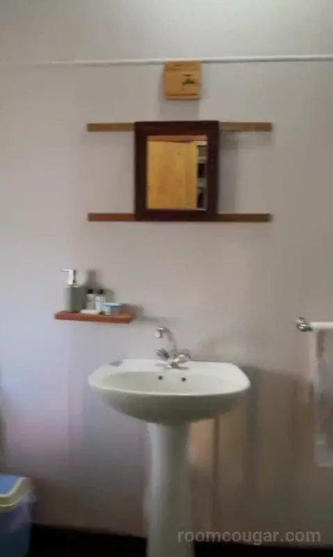 Standard (#1) bathroom picture #4