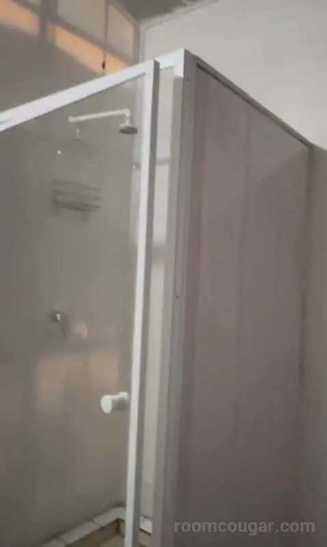 Standard (#1) bathroom picture #6