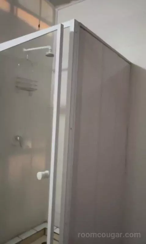 Standard (#1) bathroom picture #8
