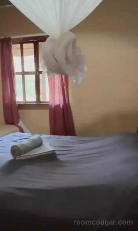 Standard (#1) bed picture #9