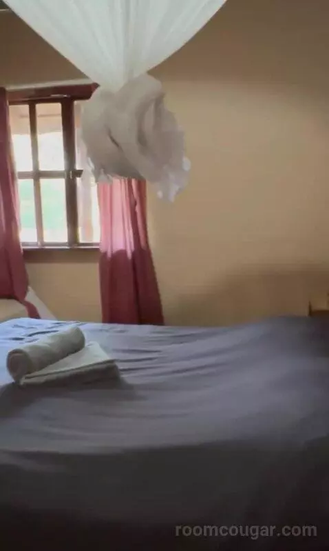 Standard (#1) bed picture #10