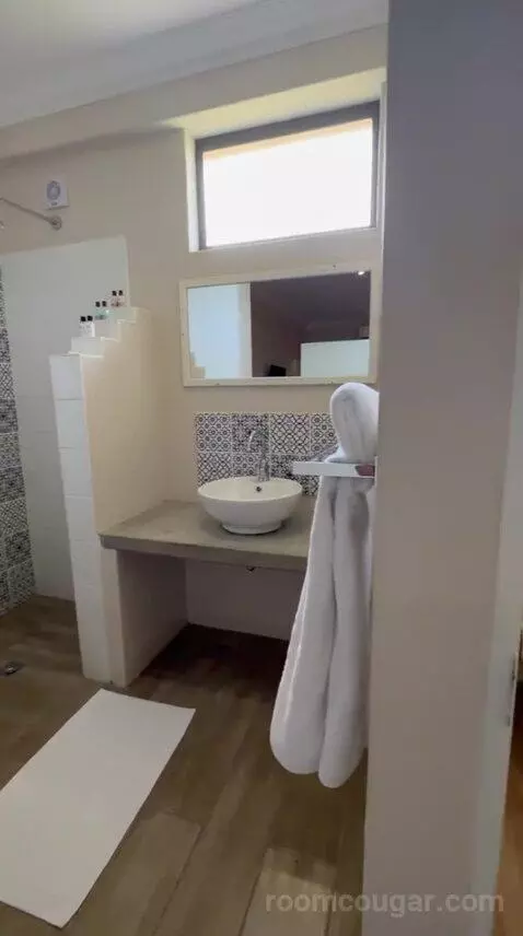 Standard (#1) bathroom picture #5