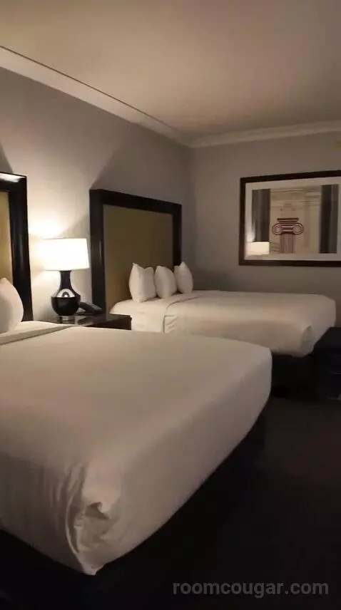 bevandryan's review preview (Caesars Palace Hotel & Casino)