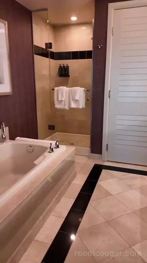 Resort Two Queen (#27117) bathroom picture #2