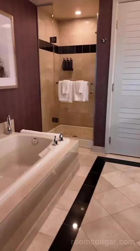 Resort Two Queen (#27117) bathroom picture #3